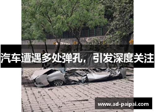 汽车遭遇多处弹孔，引发深度关注